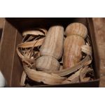 Birch Tree Tapping Kit