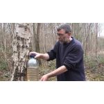 Birch Tree Tapping Kit